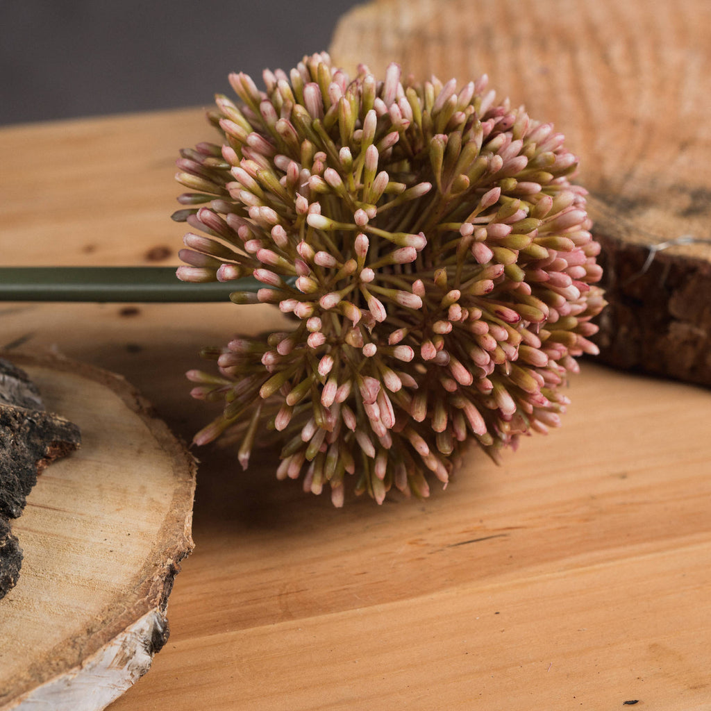Pink Allium 63 cm