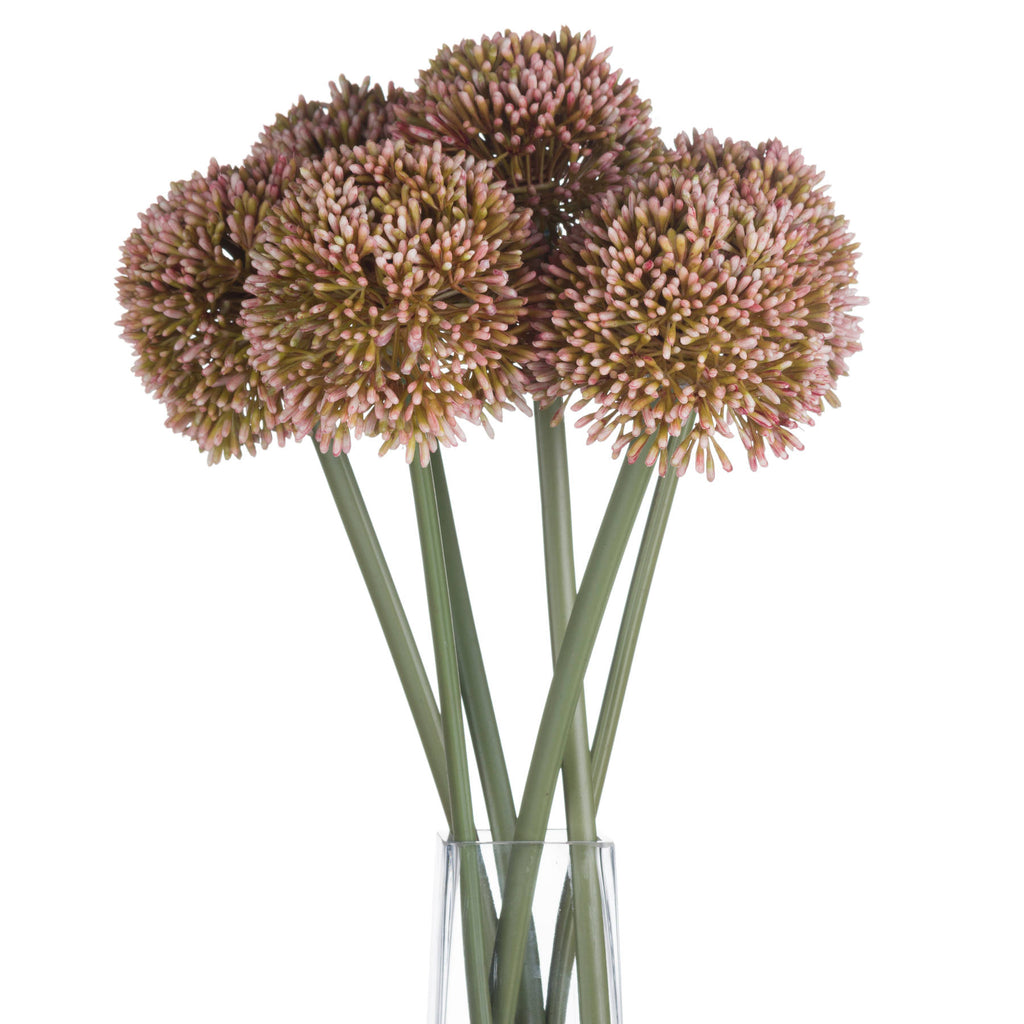 Pink Allium 63 cm