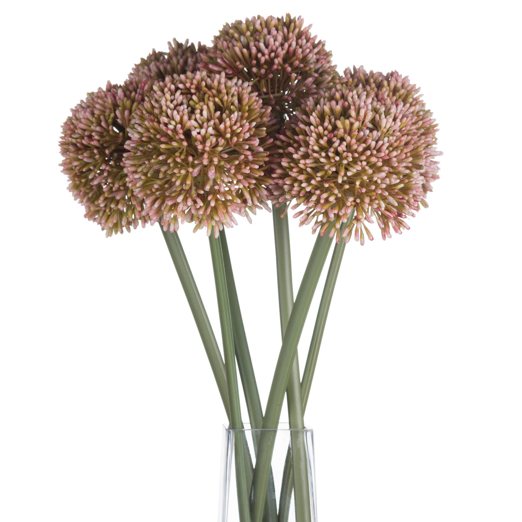 Pink Allium 63 cm