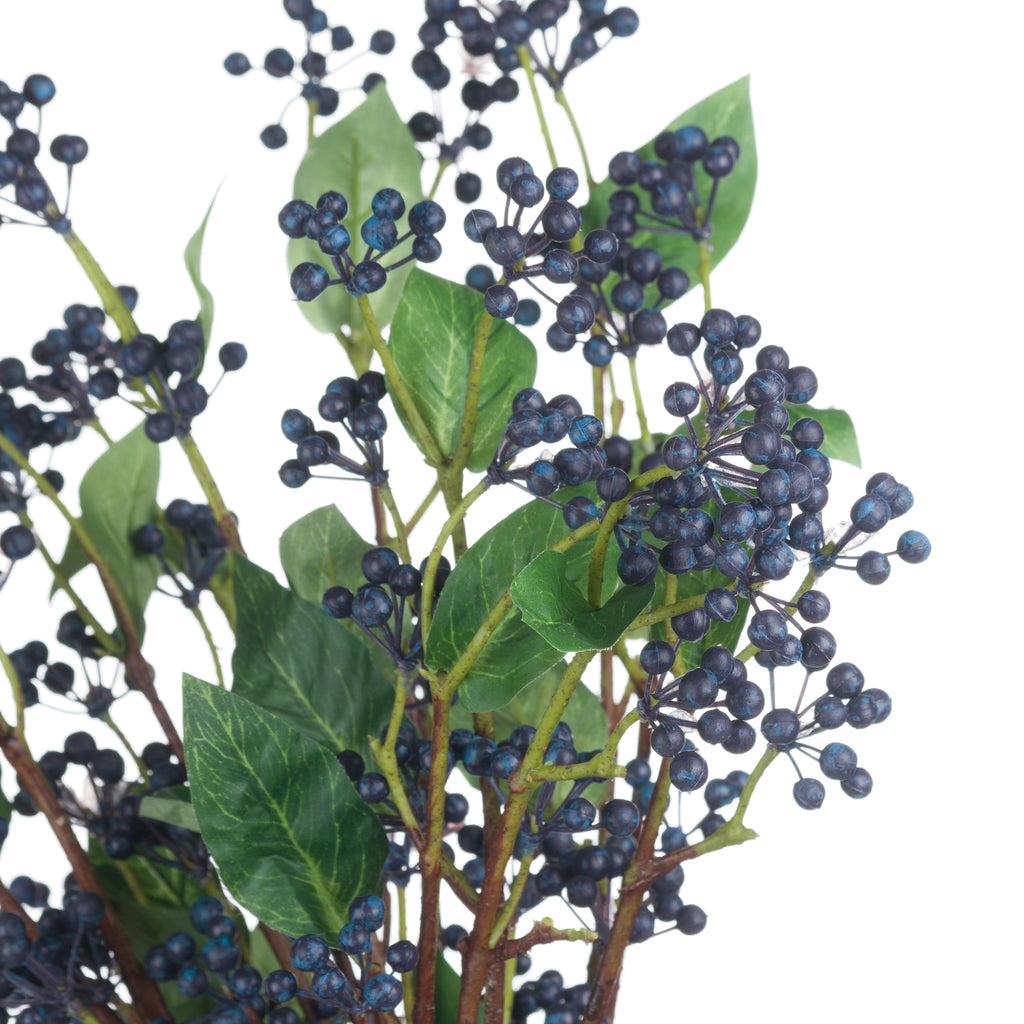 Viburnum Berry 80 cm