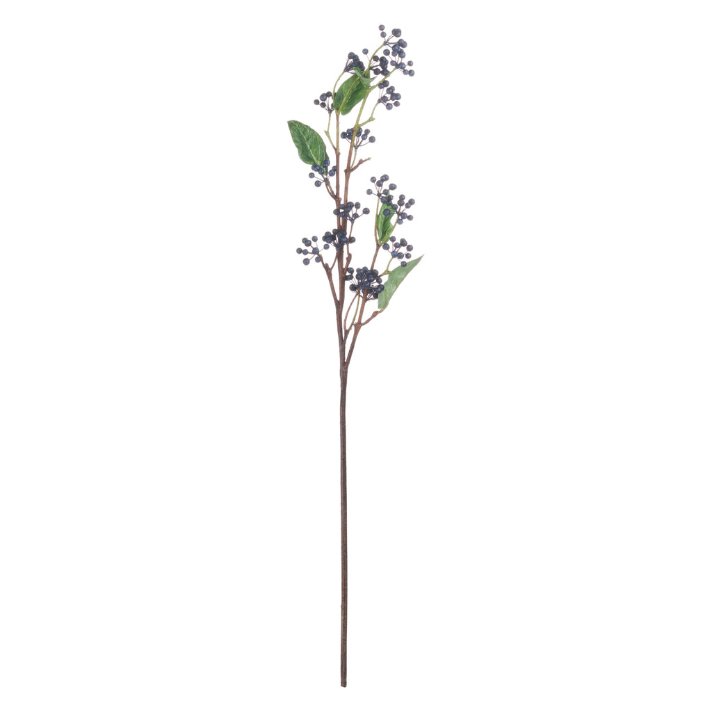 Viburnum Berry 80 cm