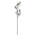 Viburnum Berry 80 cm