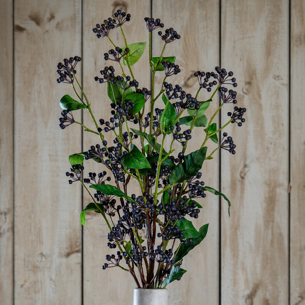 Viburnum Berry 80 cm