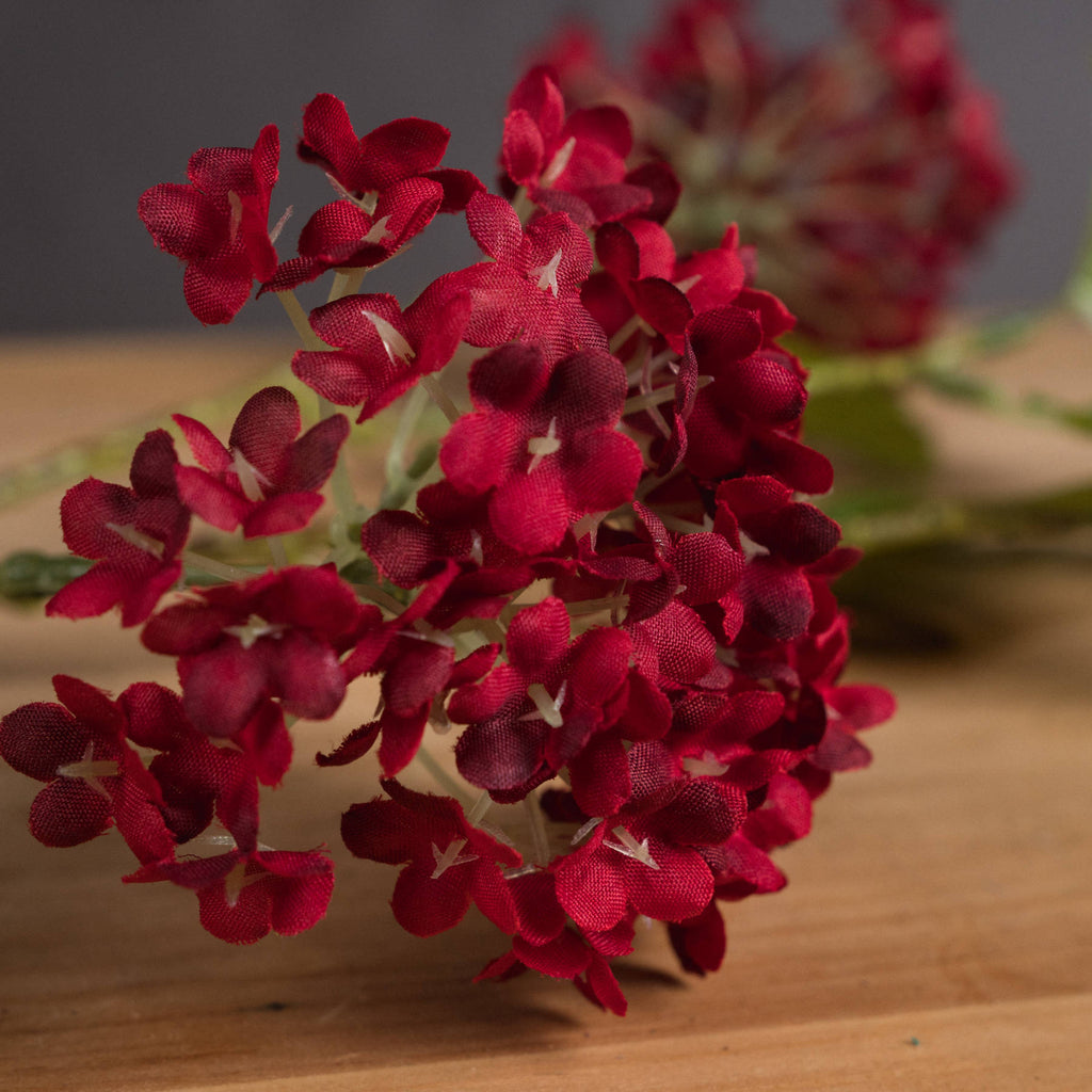 Red Autumnal Viburnum 63 cm