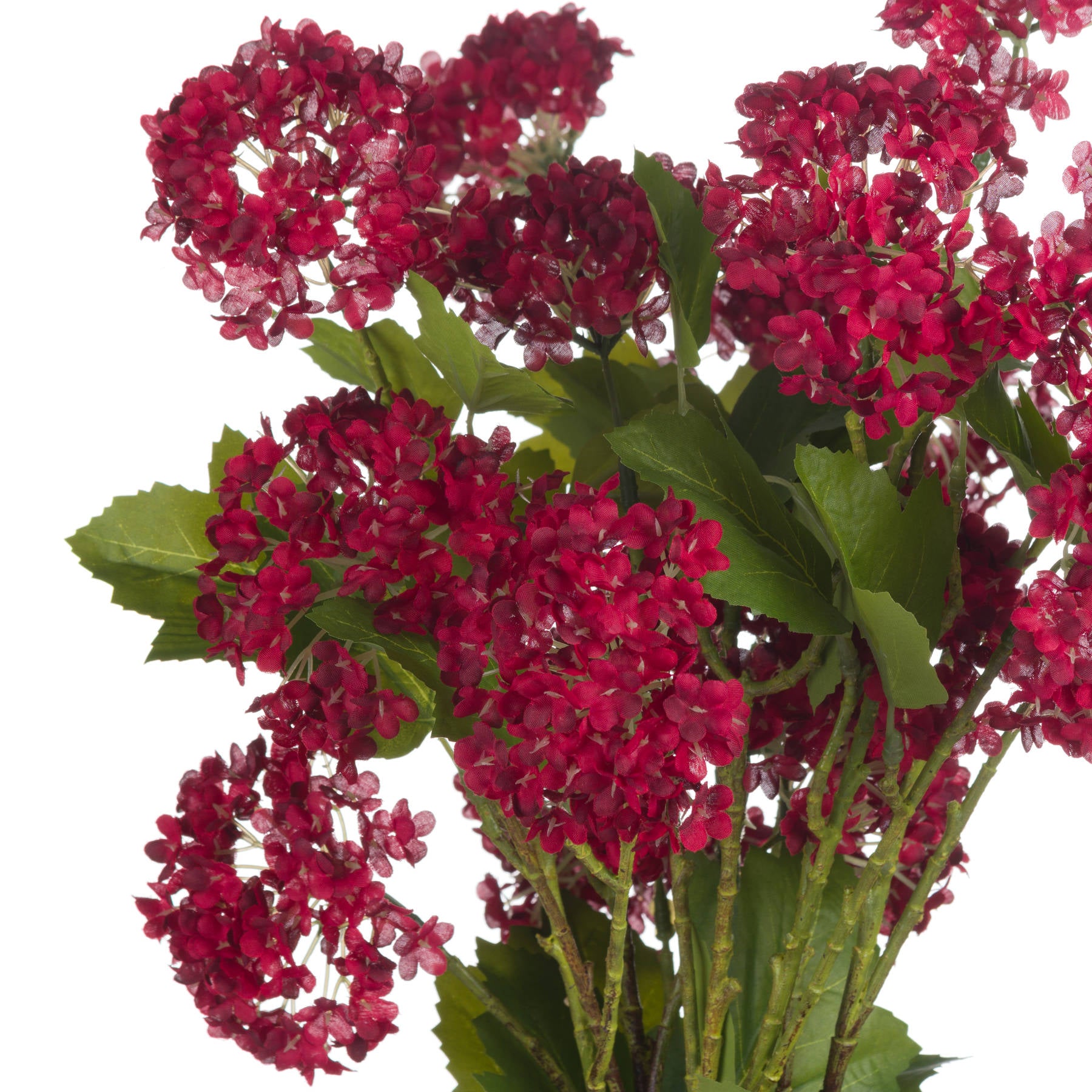 Red Autumnal Viburnum 63 cm