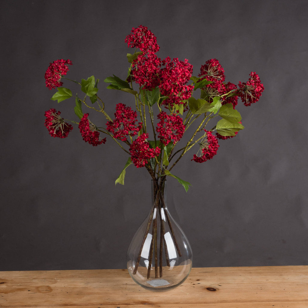 Red Autumnal Viburnum 63 cm