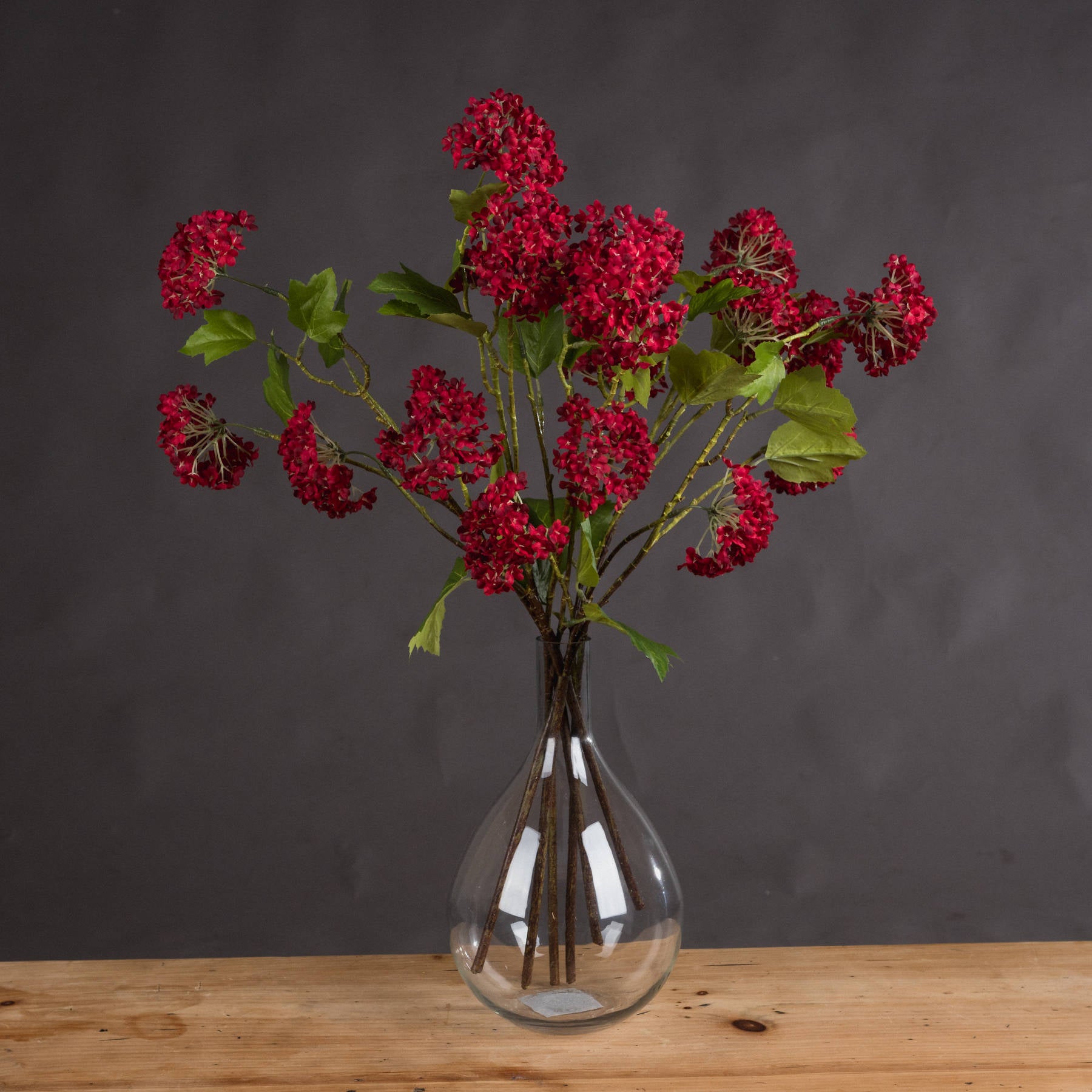 Red Autumnal Viburnum 63 cm