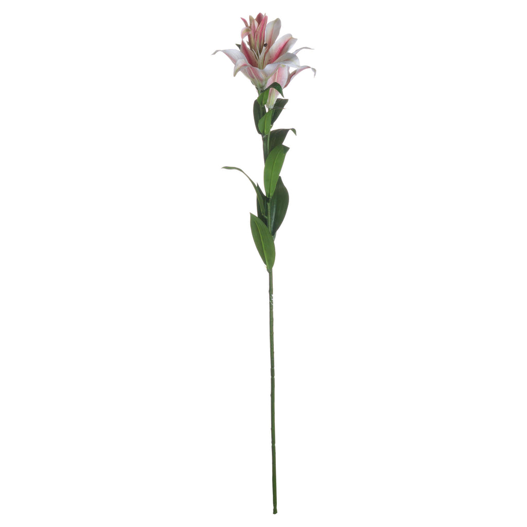 Stargazer Lily 90 cm