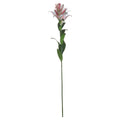 Stargazer Lily 90 cm