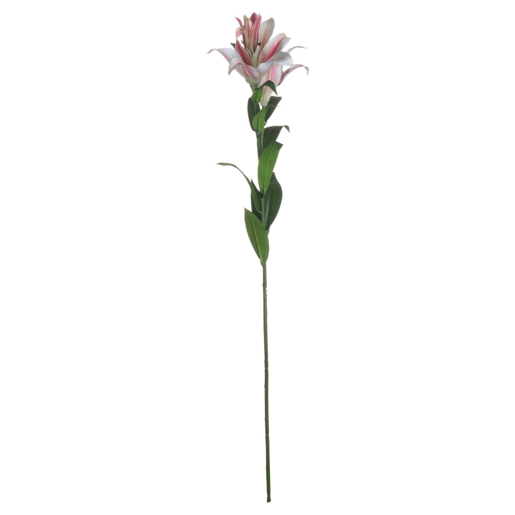 Stargazer Lily 90 cm