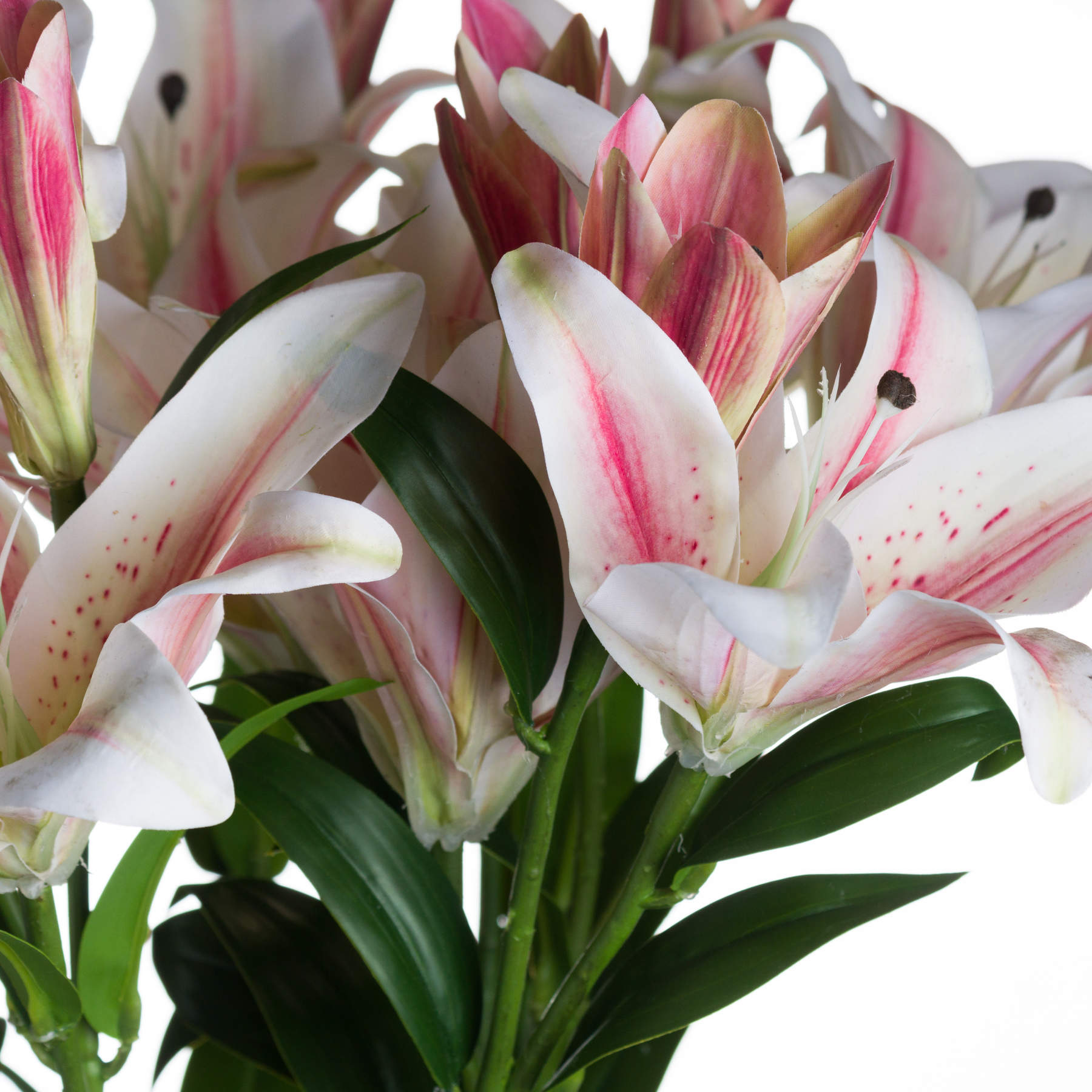 Stargazer Lily 90 cm