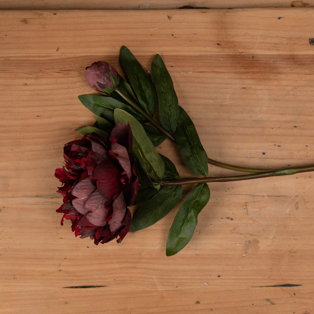 Burgundy Peony Rose 58 cm