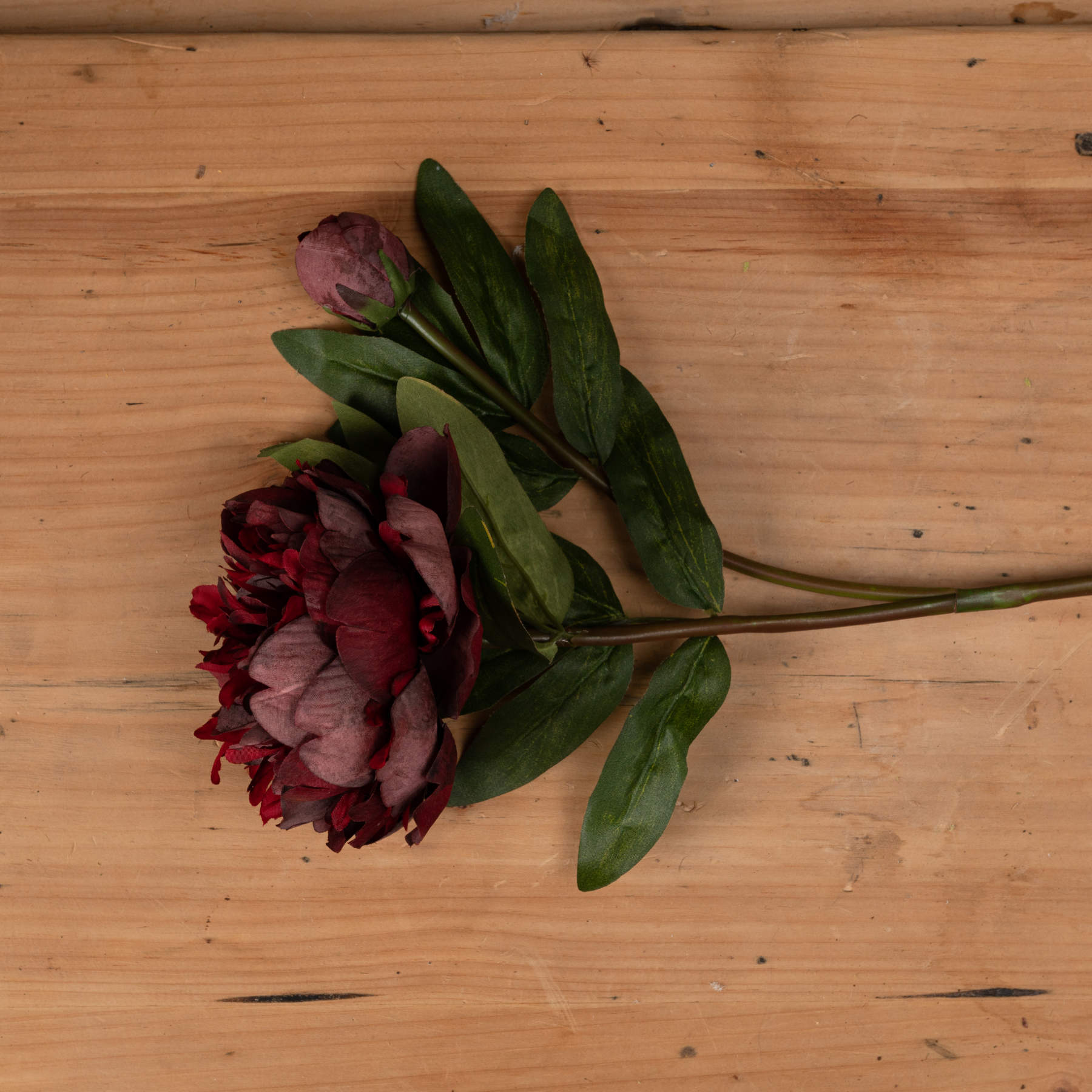 Burgundy Peony Rose 58 cm