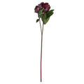 Burgundy Peony Rose 58 cm