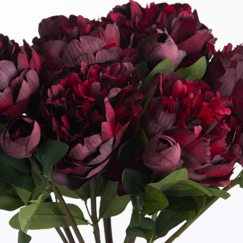 Burgundy Peony Rose 58 cm
