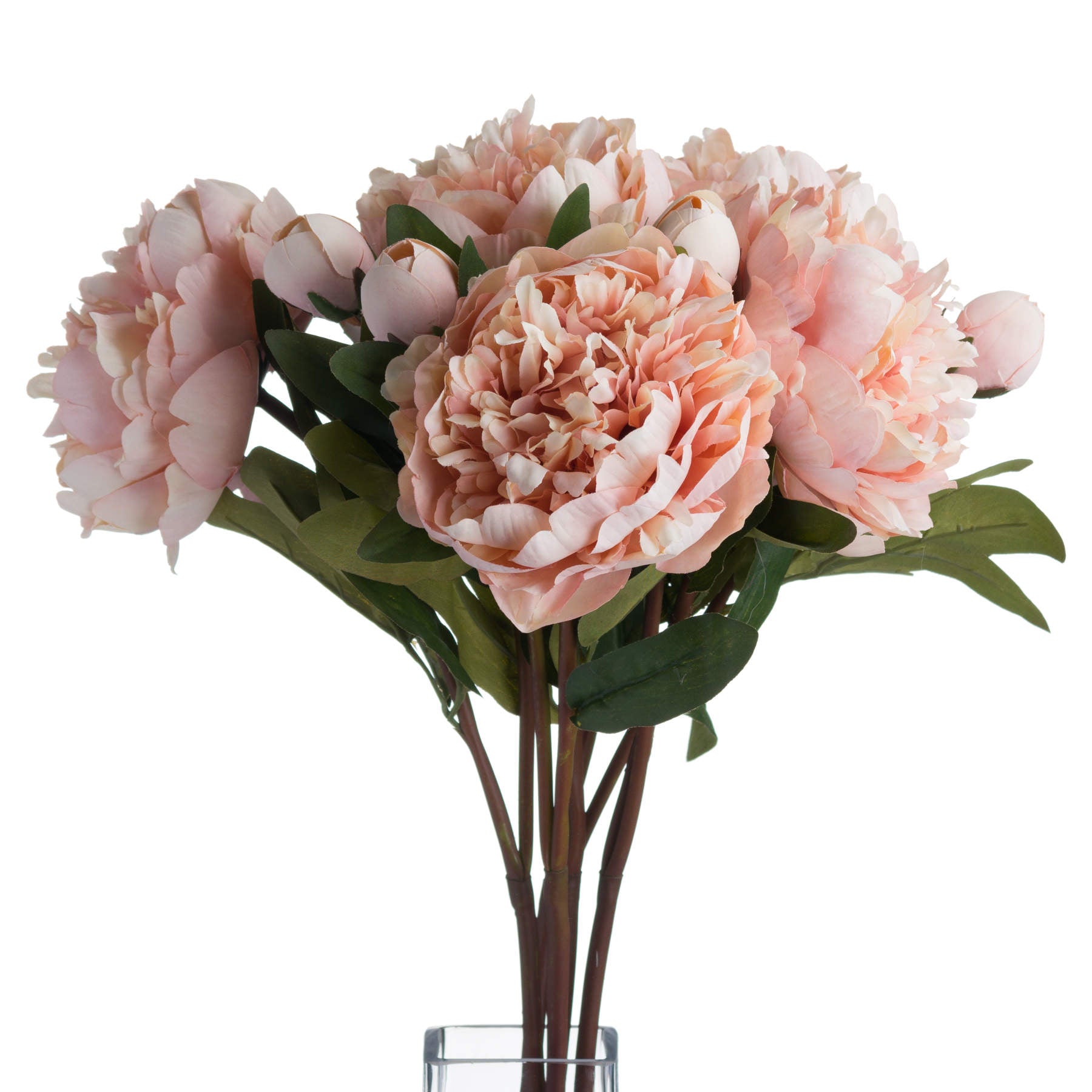 Peach Peony Rose 58 cm