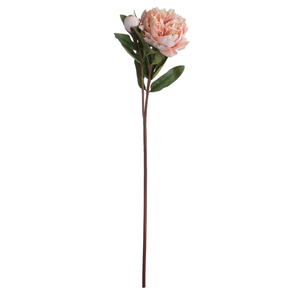 Peach Peony Rose 58 cm