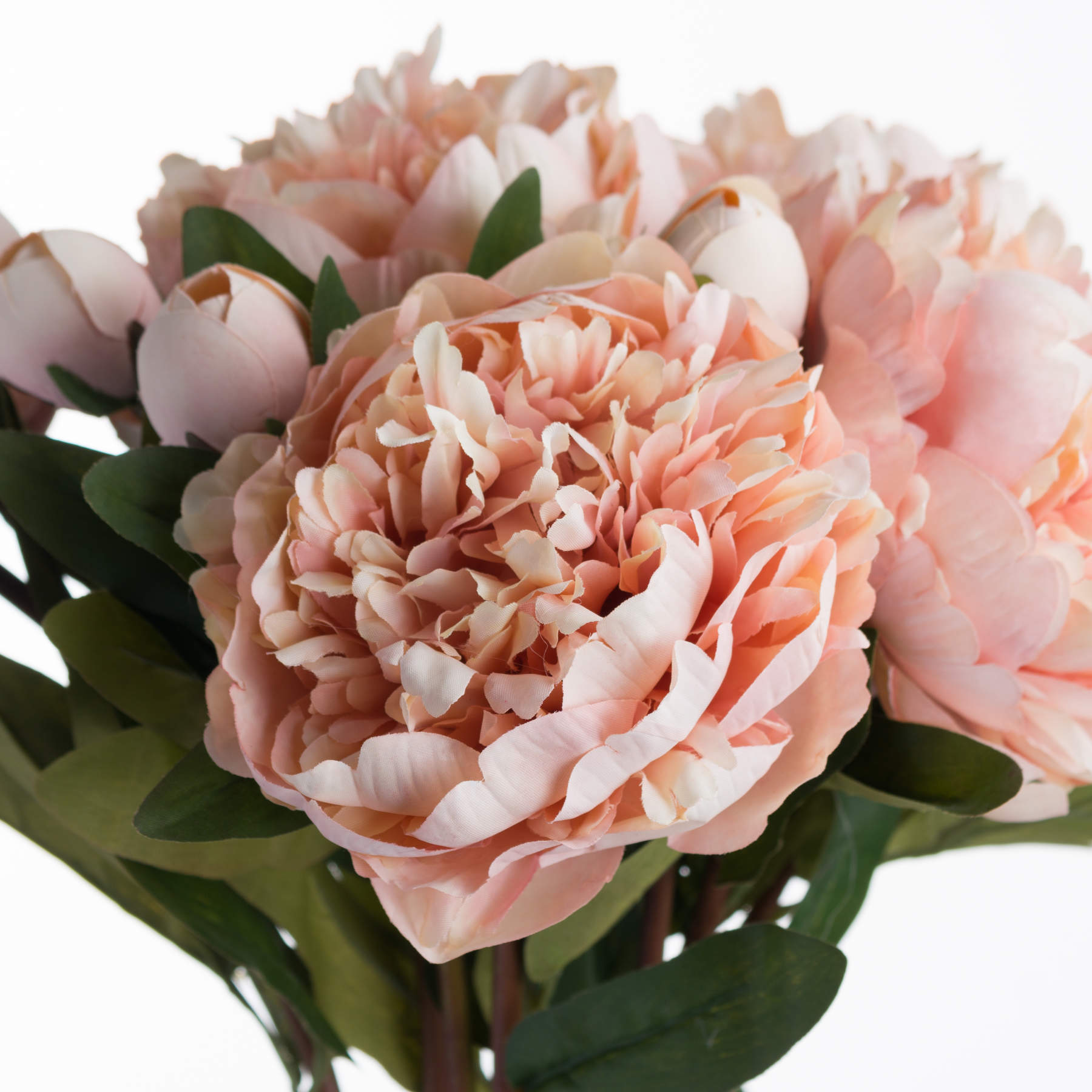Peach Peony Rose 58 cm