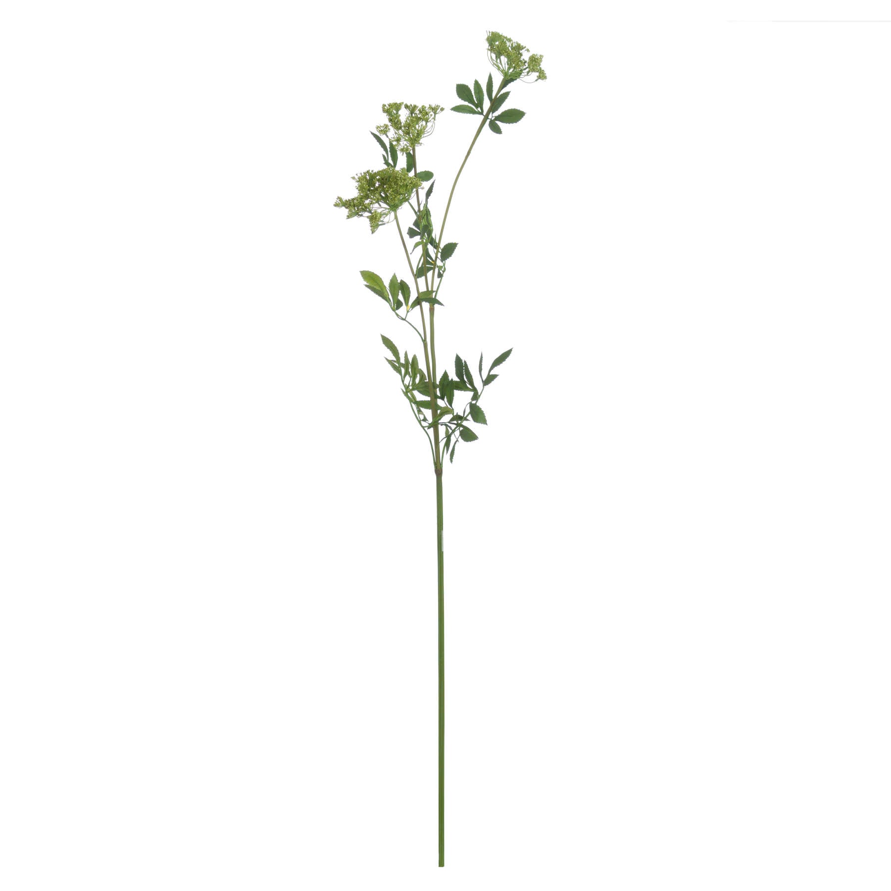 Faux Cow Parsley Ammi 100 cm