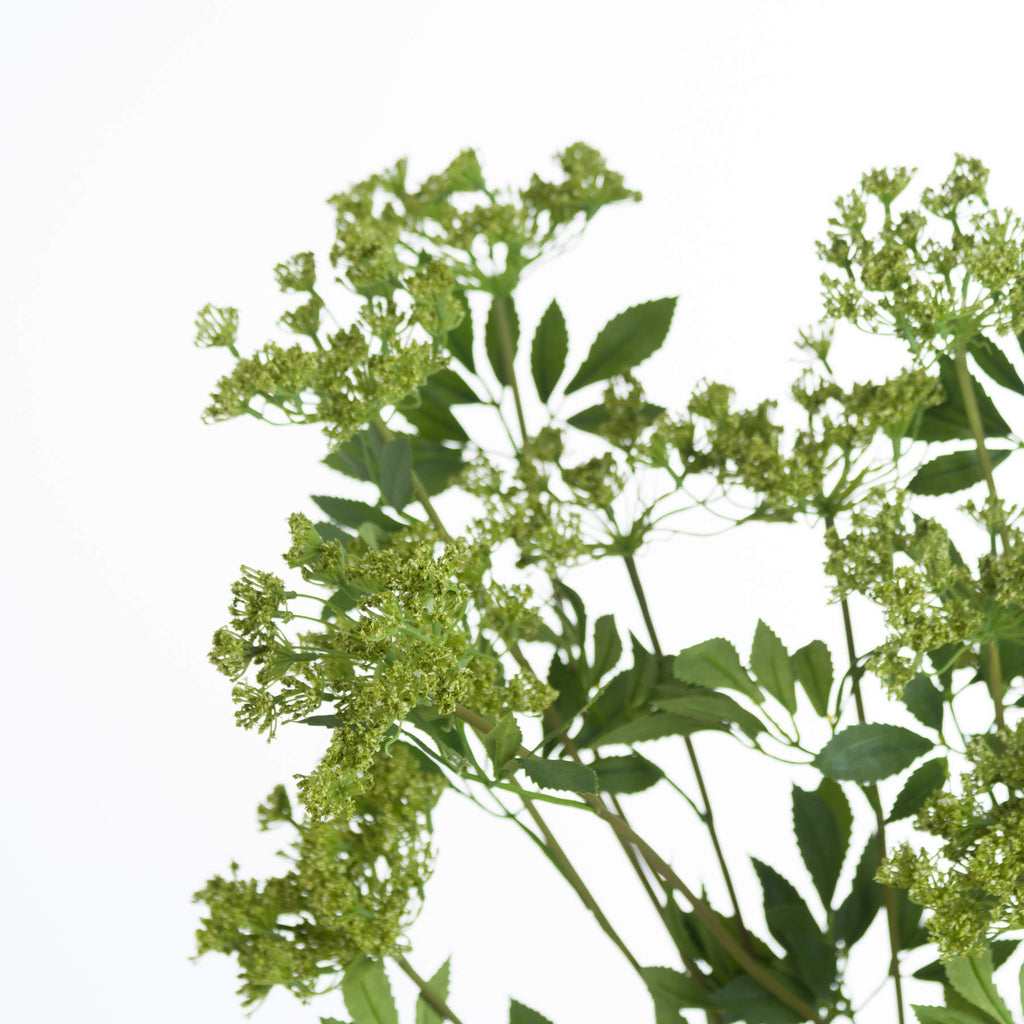 Faux Cow Parsley Ammi 100 cm