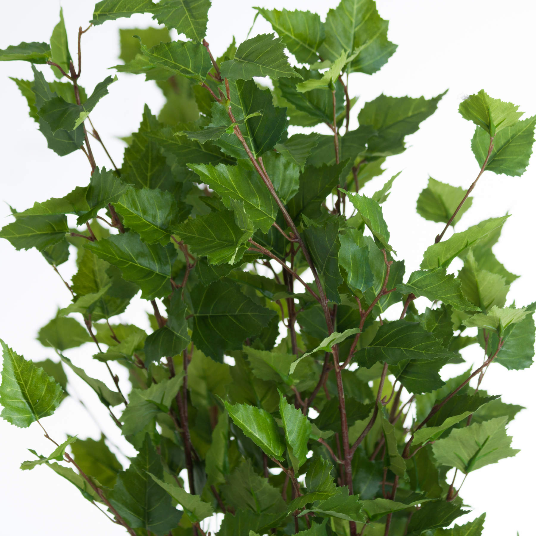 Green Branch Spray 128 cm