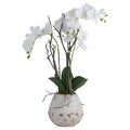 White Orchid In Stone Pot 70 cm