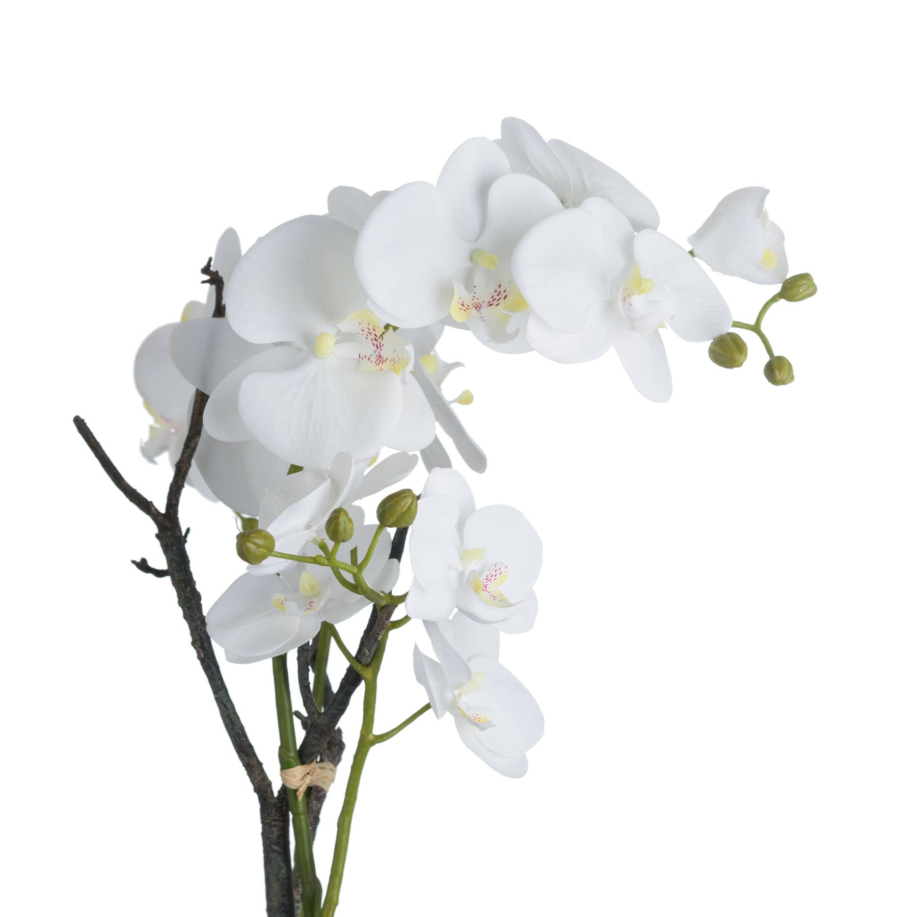 White Orchid In Stone Pot 70 cm