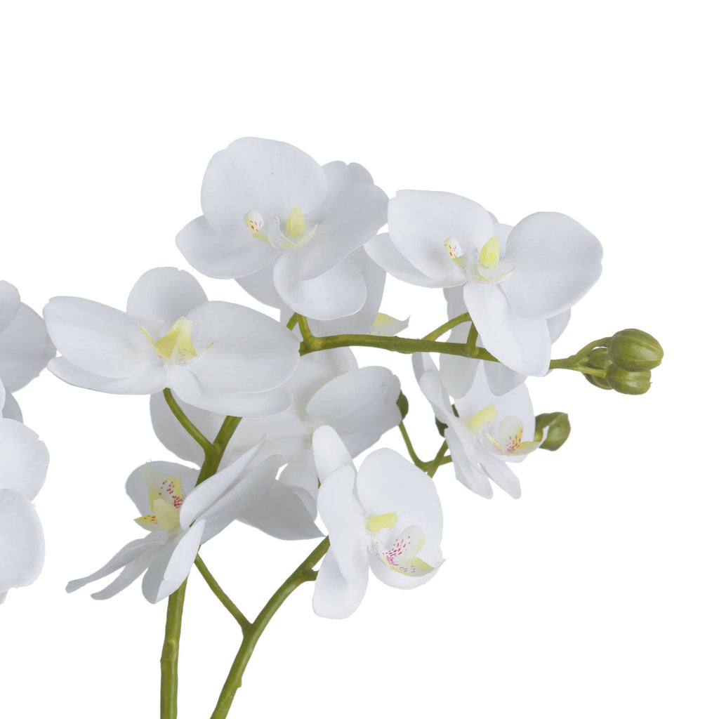 White Orchid In Glass Pot 61 cm