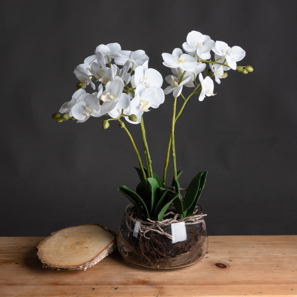 White Orchid In Glass Pot 61 cm