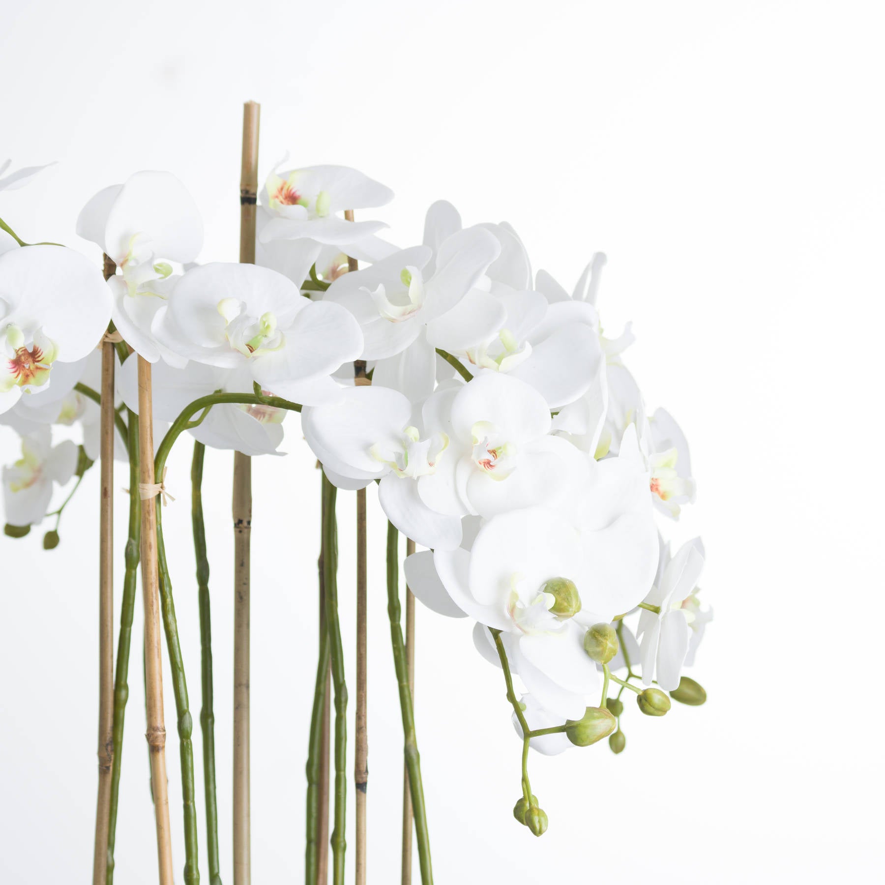 Large White Orchid In Glass Pot 88 cm