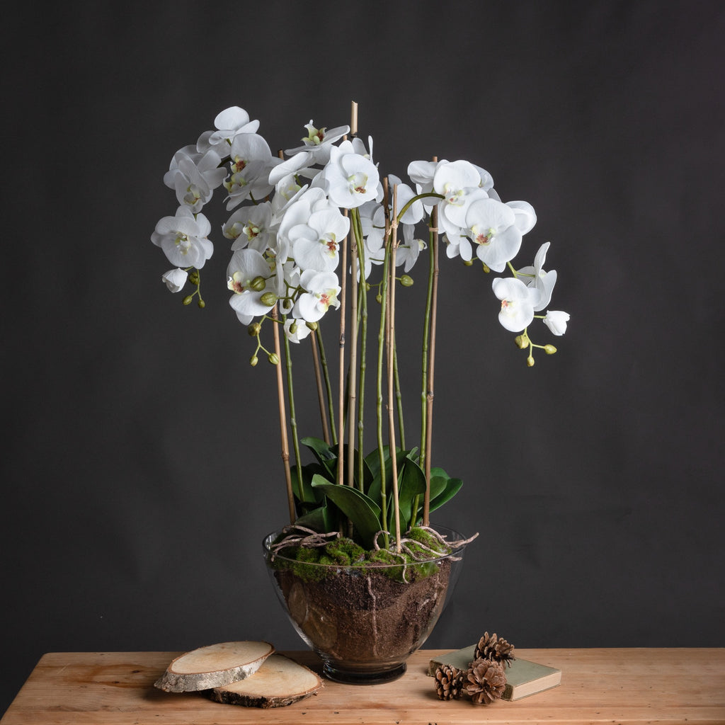 Large White Orchid In Glass Pot 88 cm