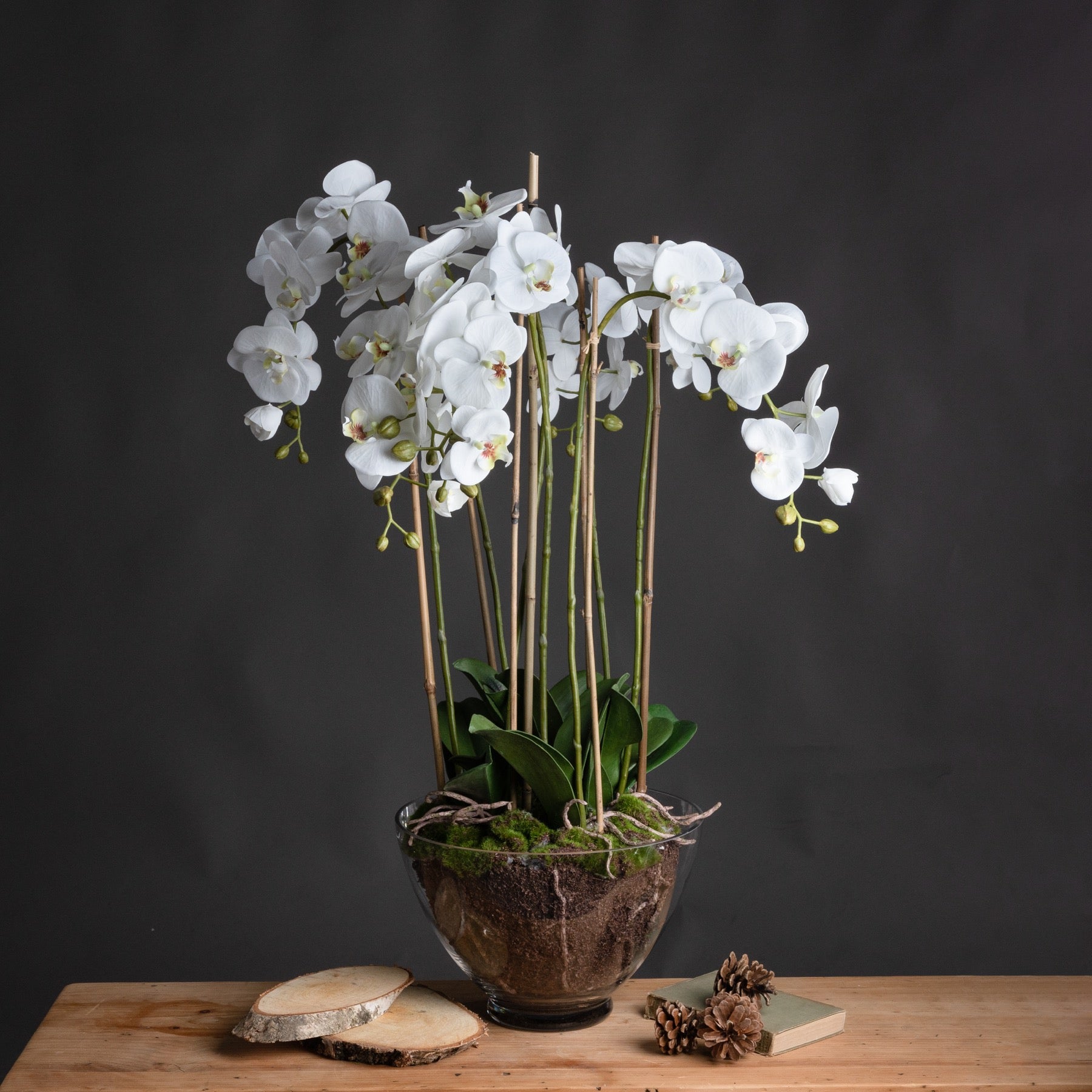Large White Orchid In Glass Pot 88 cm
