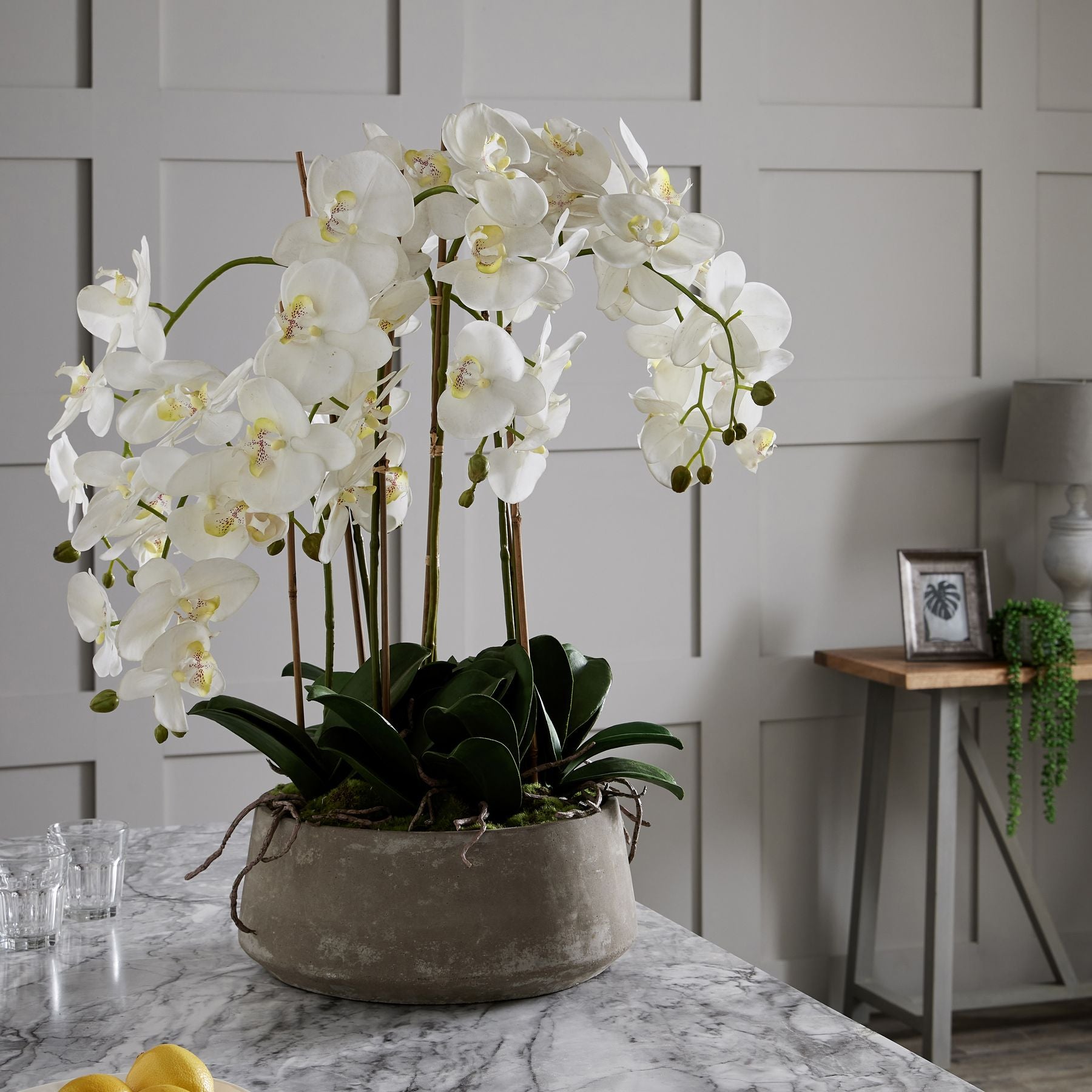 Large White Orchid In Stone Pot 90 cm