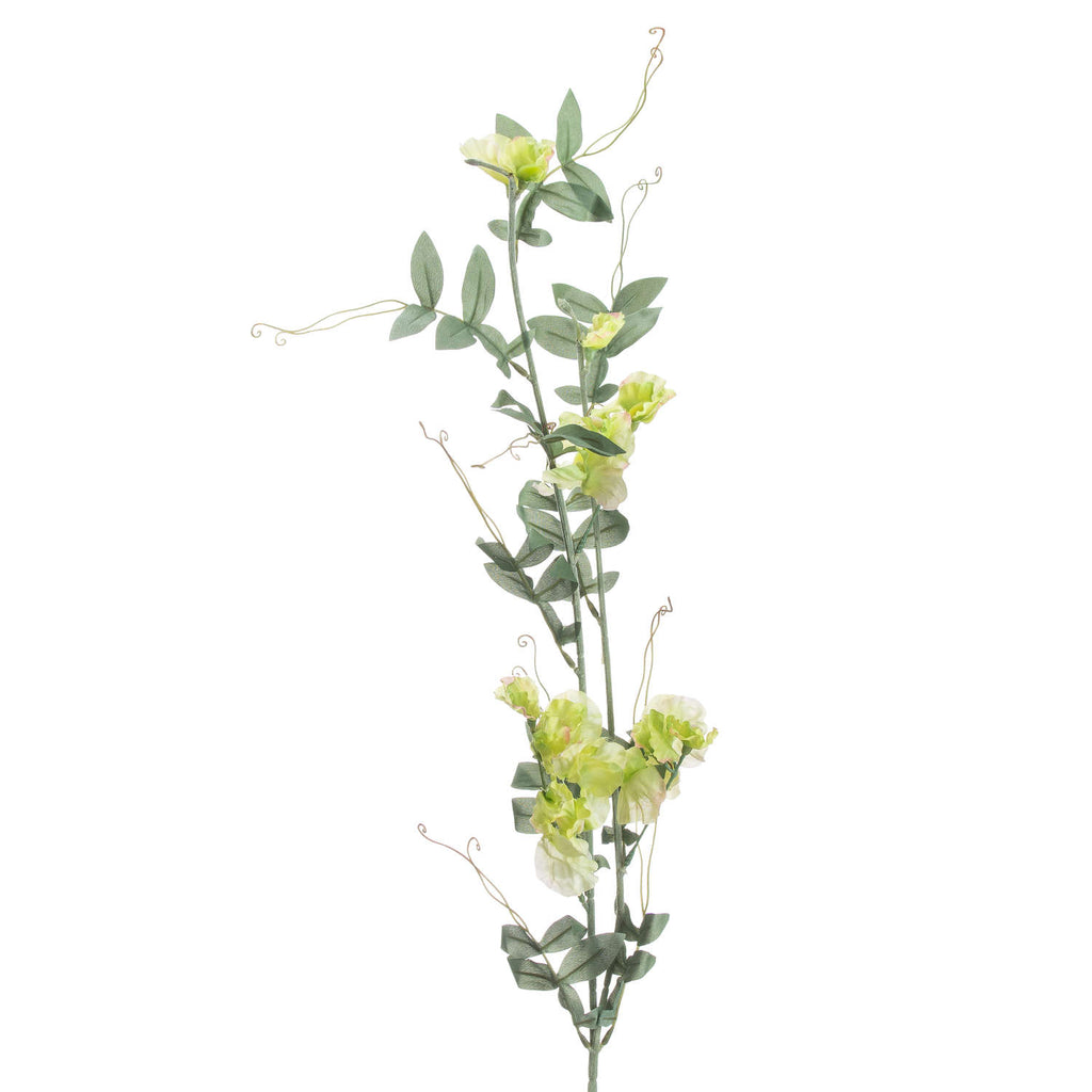 Sweet Pea Trail 113 cm