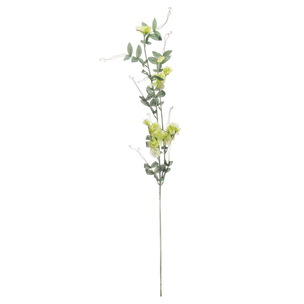 Sweet Pea Trail 113 cm