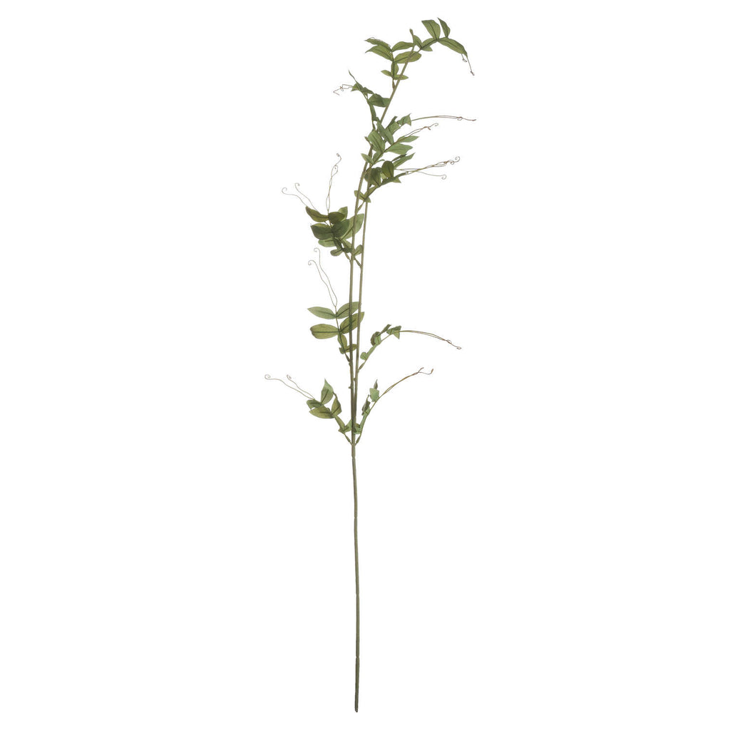 Sweet Pea Trail 113 cm