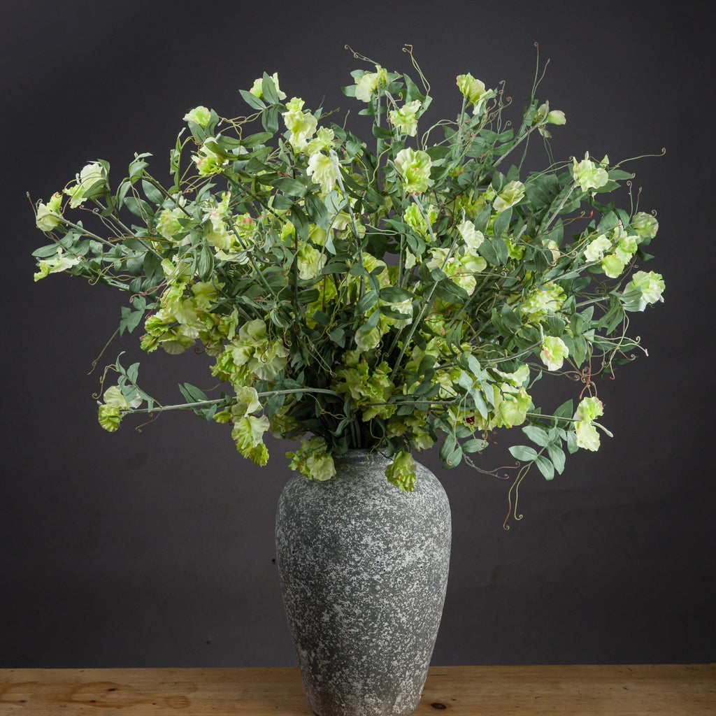 Sweet Pea Trail 113 cm