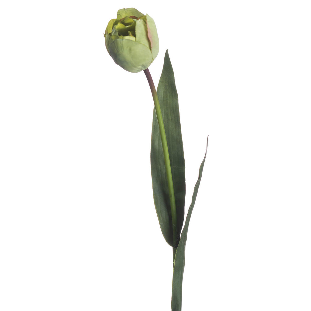 Green Tulip 50 cm