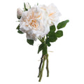 Peachy Cream Short Stem Rose Bouquet 35 cm