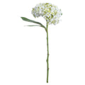 White Lace Cap Hydrangea 48 cm