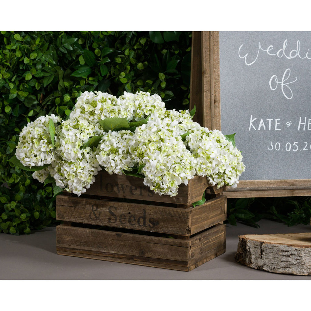 White Lace Cap Hydrangea 48 cm