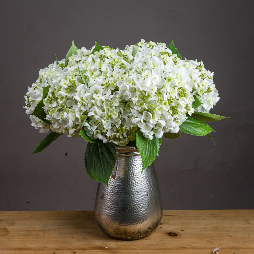 White Lace Cap Hydrangea 48 cm