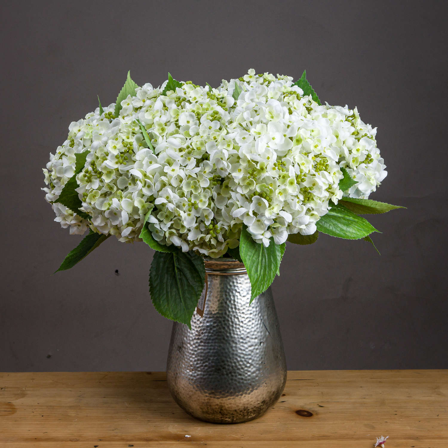 White Lace Cap Hydrangea 48 cm