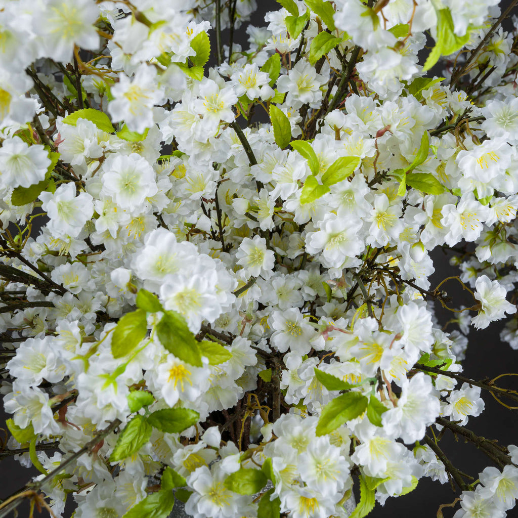 White Cherry Blossom Spray 124 cm