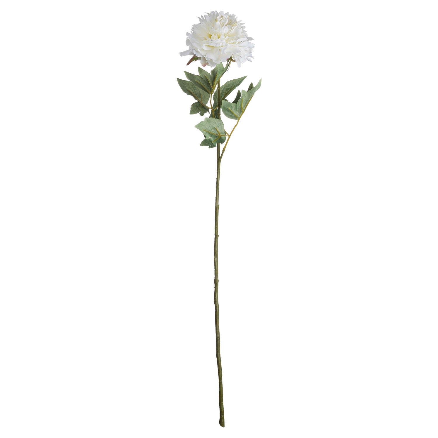Classic White Peony 69 cm