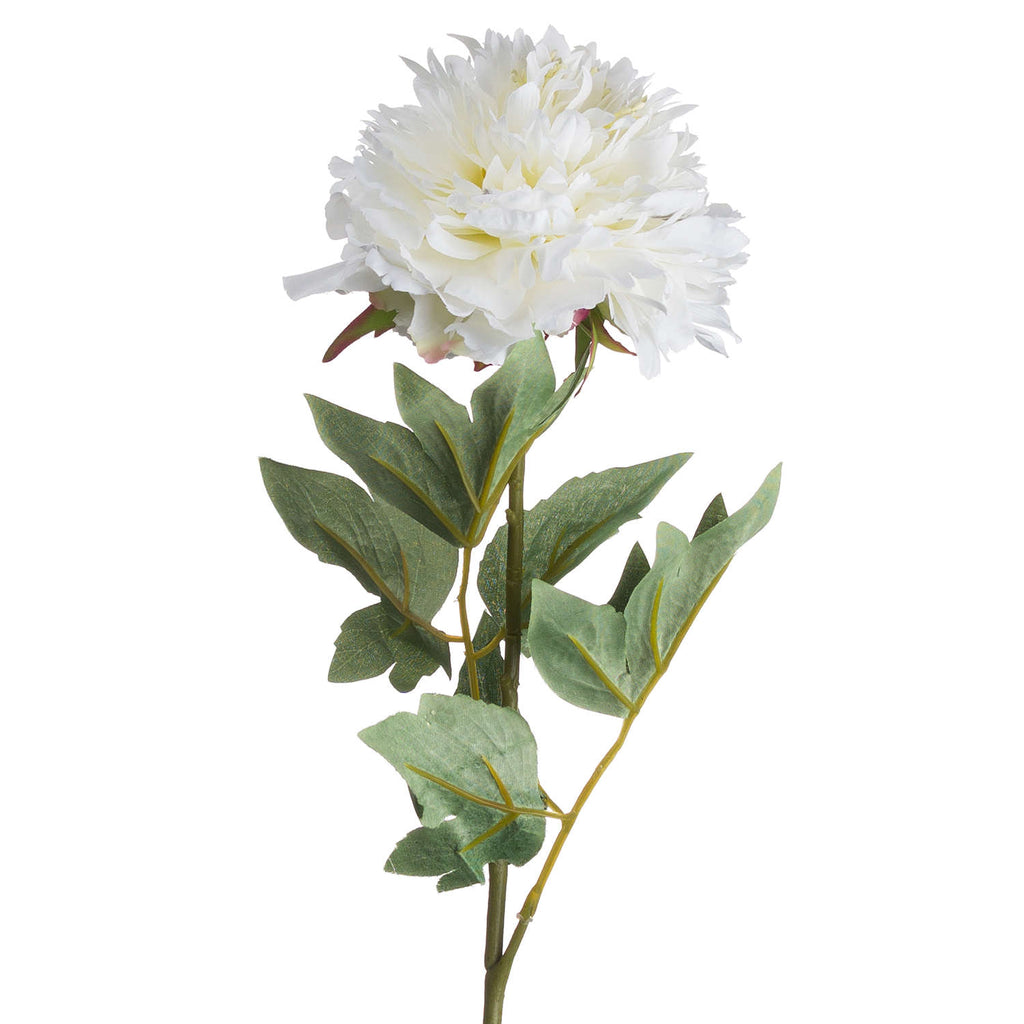 Classic White Peony 69 cm