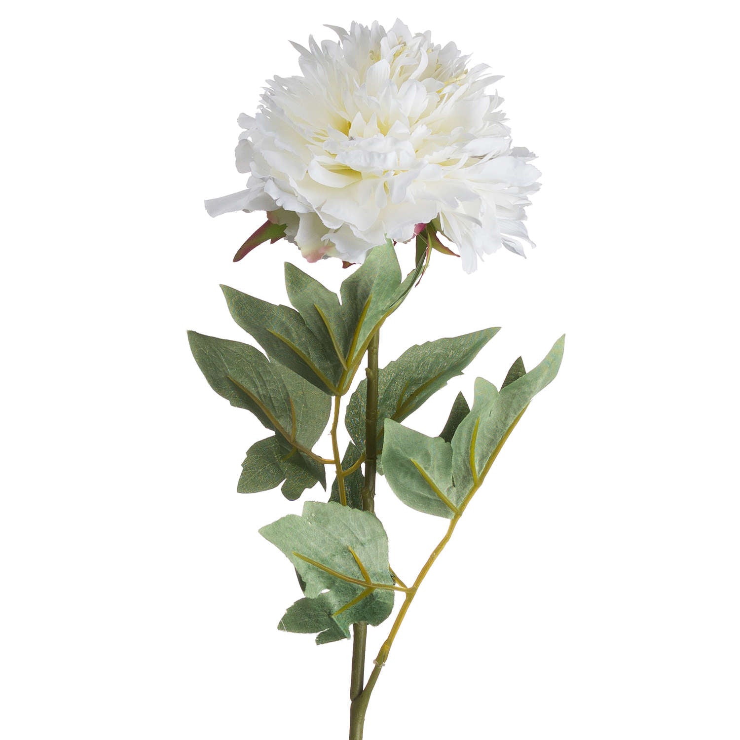 Classic White Peony 69 cm