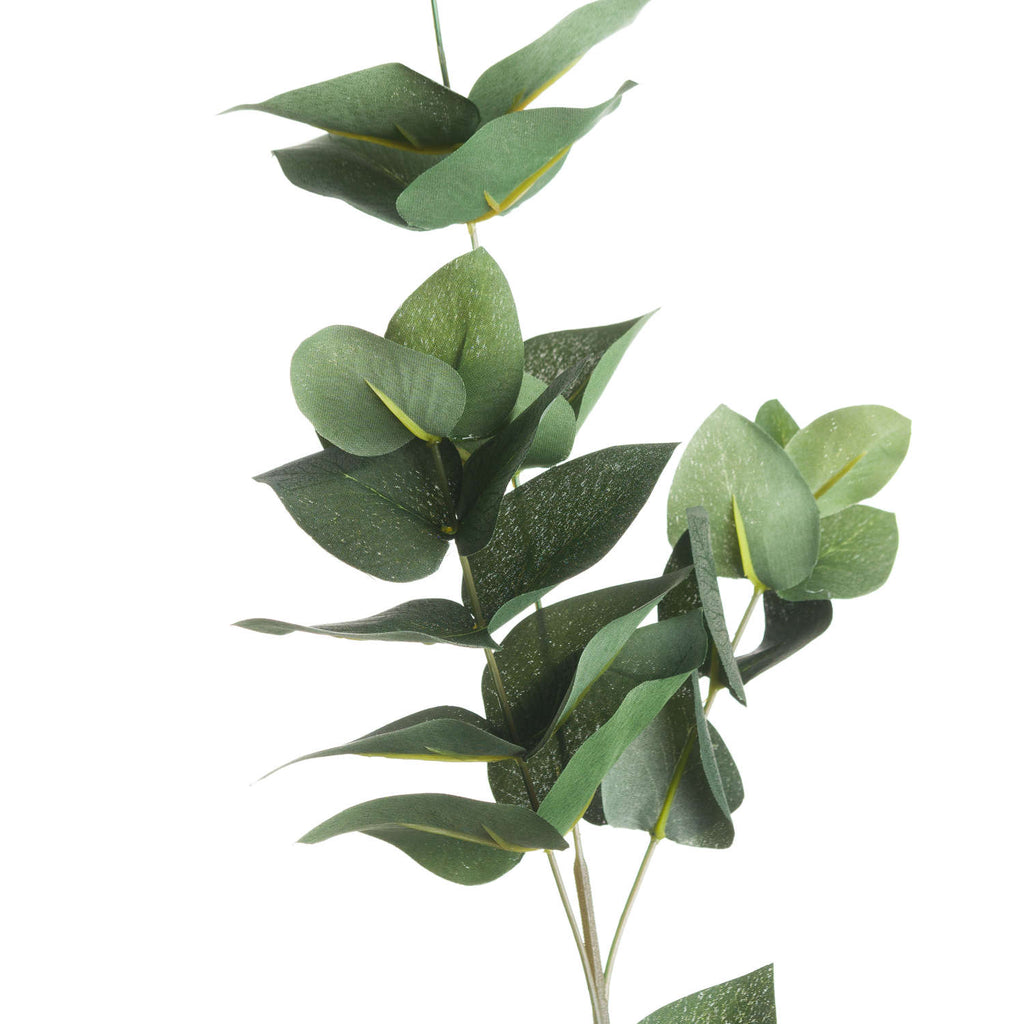 Eucalyptus Filler 60 cm