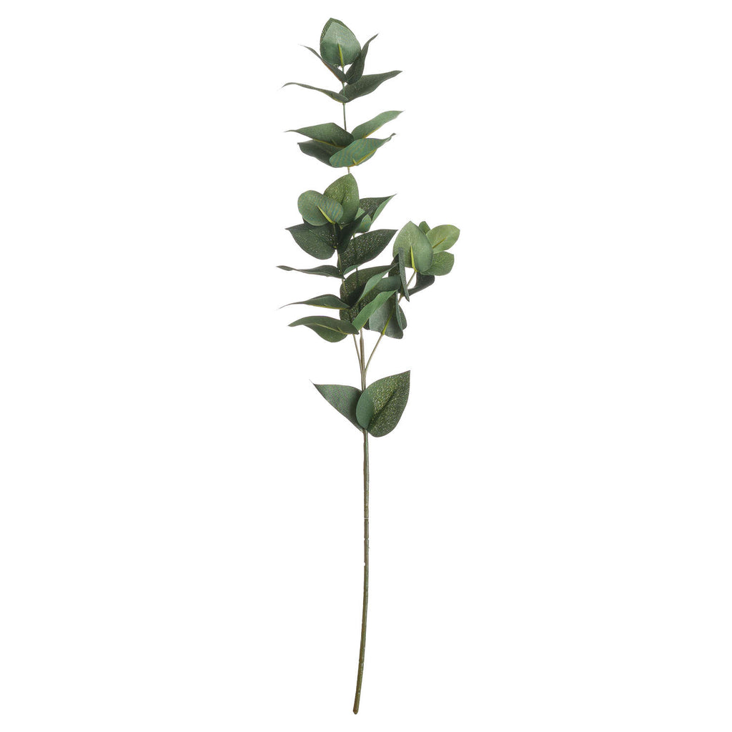 Eucalyptus Filler 60 cm