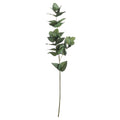 Eucalyptus Filler 60 cm